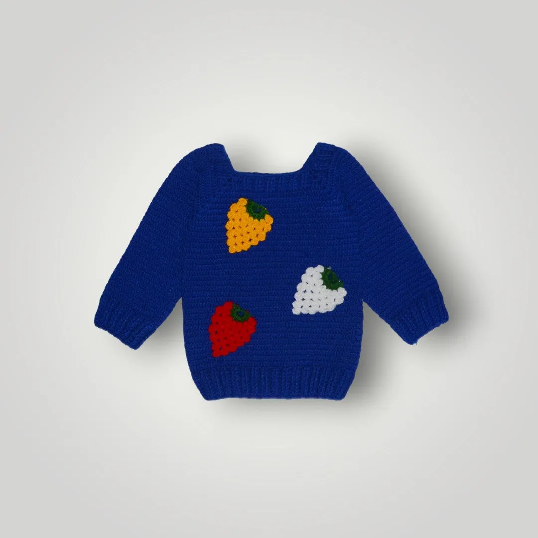 Beautiful Design Full Sleeve Applique Handmade Crochet Sweater For Baby Boy- Deep Blue