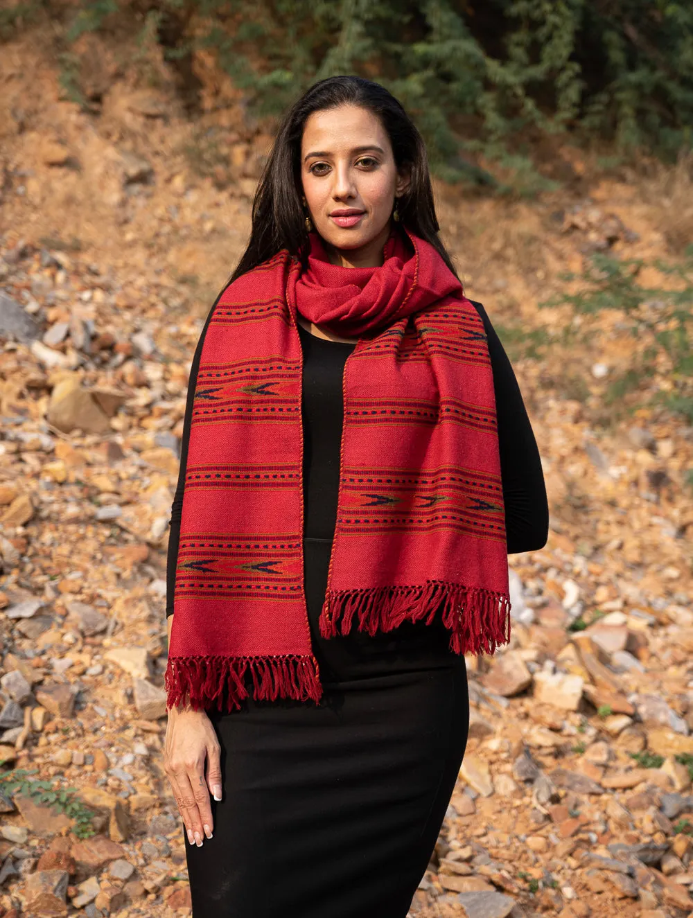 Exclusive Soft Himachal Wool Stole - 6 Border Weave