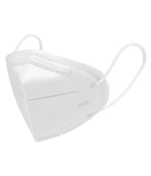 N95 Facemask Each